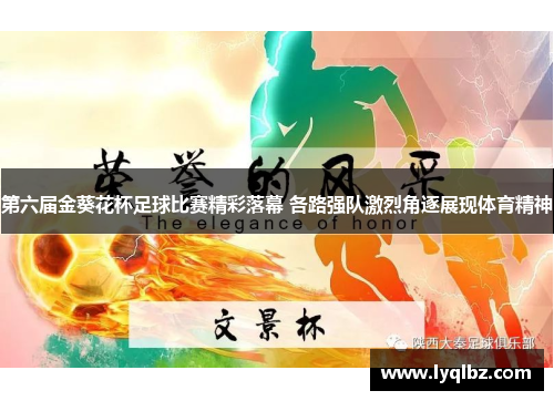 第六届金葵花杯足球比赛精彩落幕 各路强队激烈角逐展现体育精神