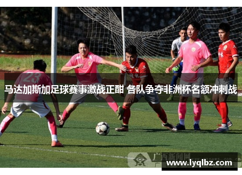 马达加斯加足球赛事激战正酣 各队争夺非洲杯名额冲刺战